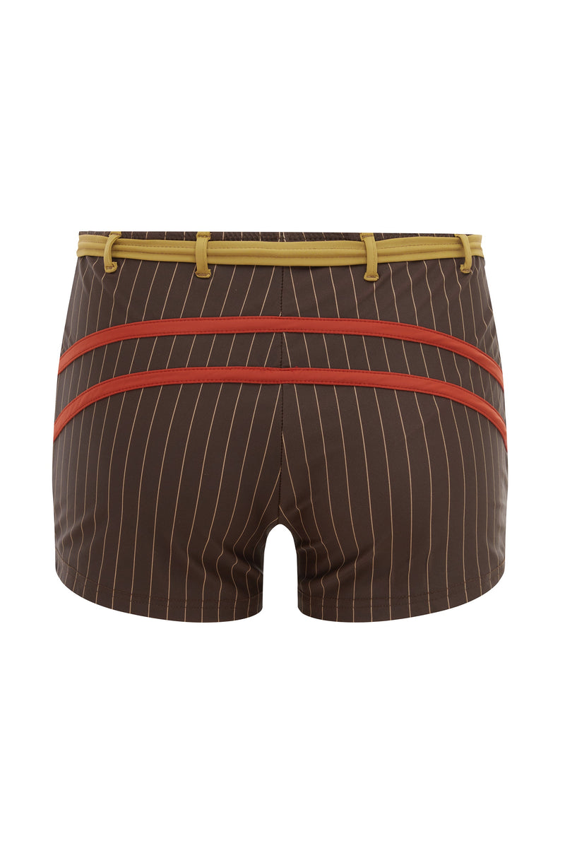 Blake Swim Shorts | Brown Pinstripe