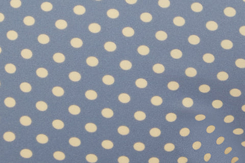 Bailey Swim Shorts | Blue Polka Dot