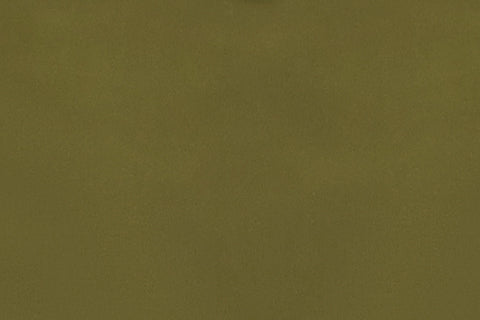 Bella Bikini Bottom | Forest