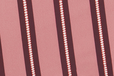 Blake Swim Shorts | Pink Stripe