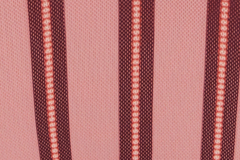 Jeanie Bikini Bottom | Pink Stripe