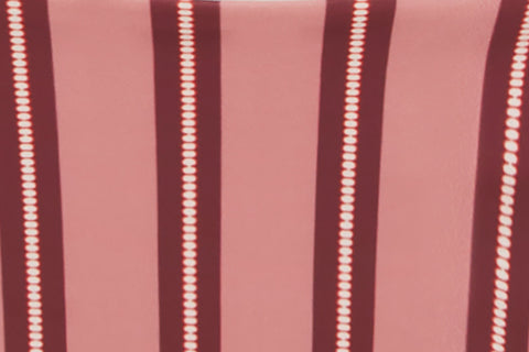 Juni Bikini Bottom | Pink Stripe